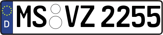 MS-VZ2255