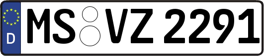 MS-VZ2291