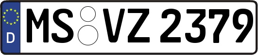 MS-VZ2379