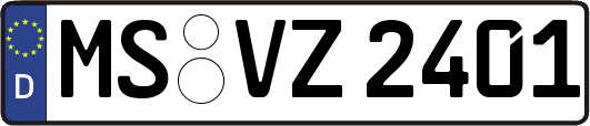 MS-VZ2401