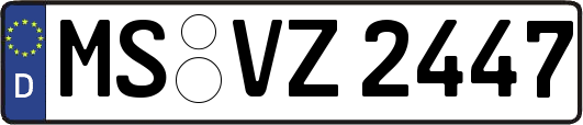 MS-VZ2447