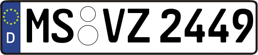 MS-VZ2449