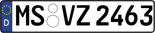 MS-VZ2463