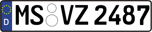 MS-VZ2487
