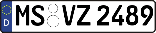 MS-VZ2489
