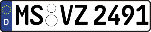 MS-VZ2491