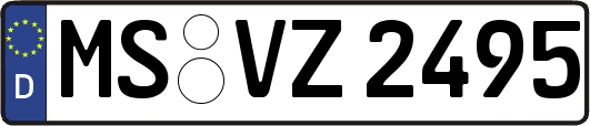 MS-VZ2495