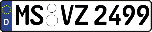 MS-VZ2499