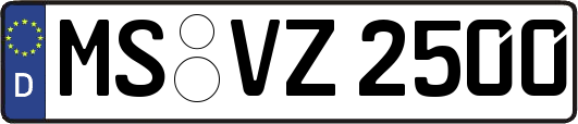 MS-VZ2500