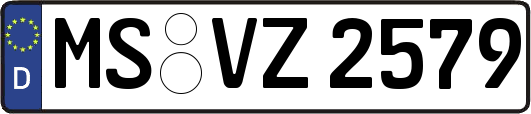 MS-VZ2579