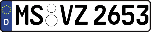 MS-VZ2653