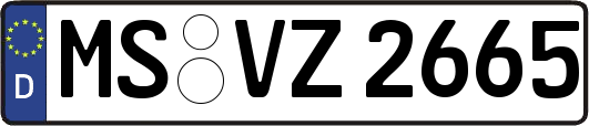 MS-VZ2665