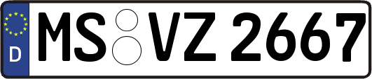 MS-VZ2667