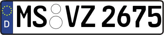 MS-VZ2675
