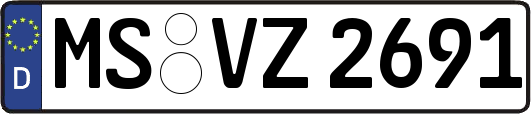 MS-VZ2691