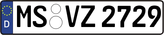 MS-VZ2729