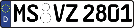 MS-VZ2801