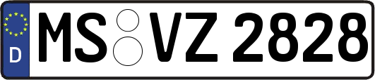 MS-VZ2828