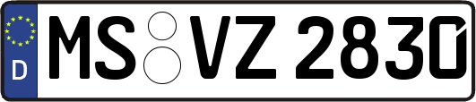 MS-VZ2830