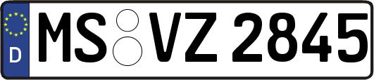 MS-VZ2845