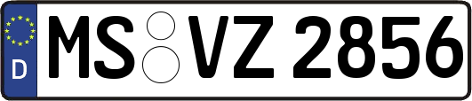 MS-VZ2856