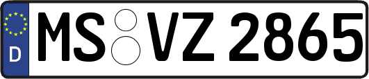 MS-VZ2865