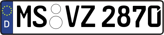 MS-VZ2870