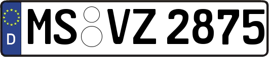 MS-VZ2875