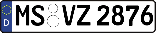 MS-VZ2876