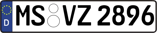 MS-VZ2896