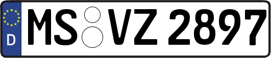 MS-VZ2897