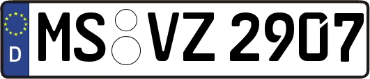 MS-VZ2907