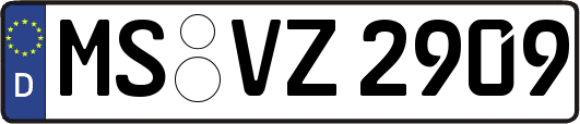MS-VZ2909