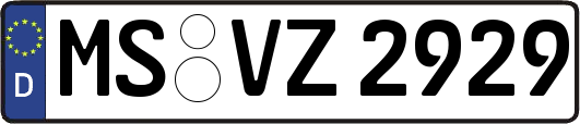 MS-VZ2929