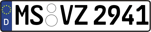 MS-VZ2941