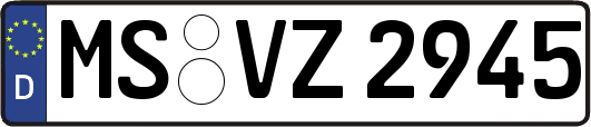 MS-VZ2945