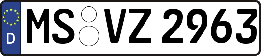 MS-VZ2963