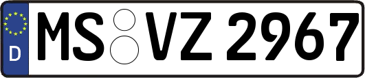 MS-VZ2967