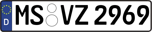 MS-VZ2969
