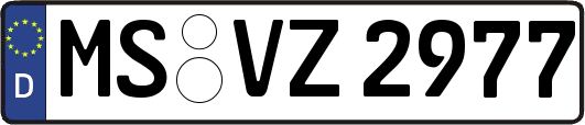 MS-VZ2977