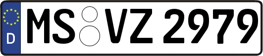 MS-VZ2979