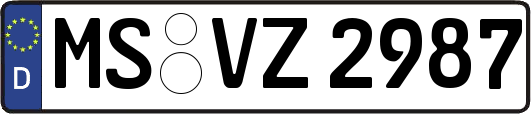 MS-VZ2987