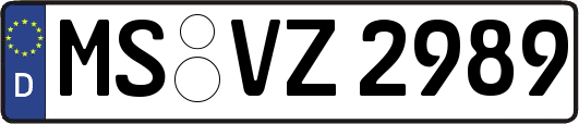 MS-VZ2989