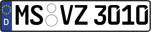 MS-VZ3010