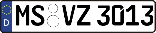 MS-VZ3013