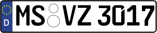 MS-VZ3017