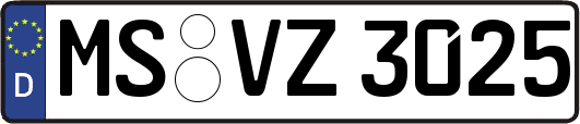 MS-VZ3025