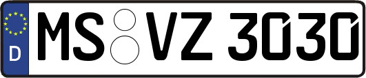 MS-VZ3030