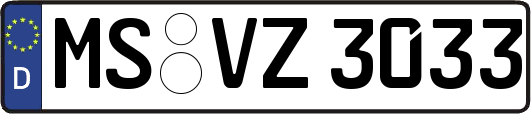 MS-VZ3033