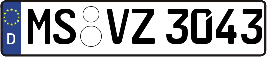 MS-VZ3043